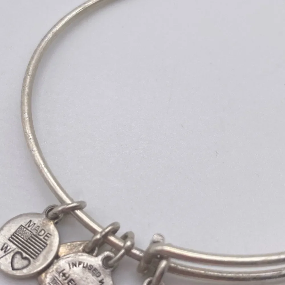Alex and Ani Nantucket‎ Island Silver tone bracelet